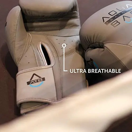 Aqua Training Bag Torrent Boxing Glove The Champ Gear