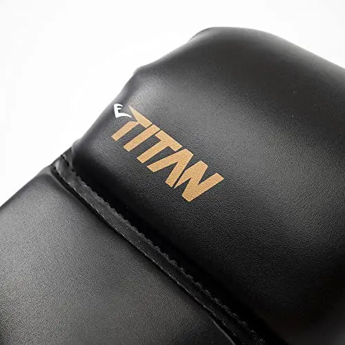 Everlast Titan Hybrid Fight Gloves - The Champ Gear