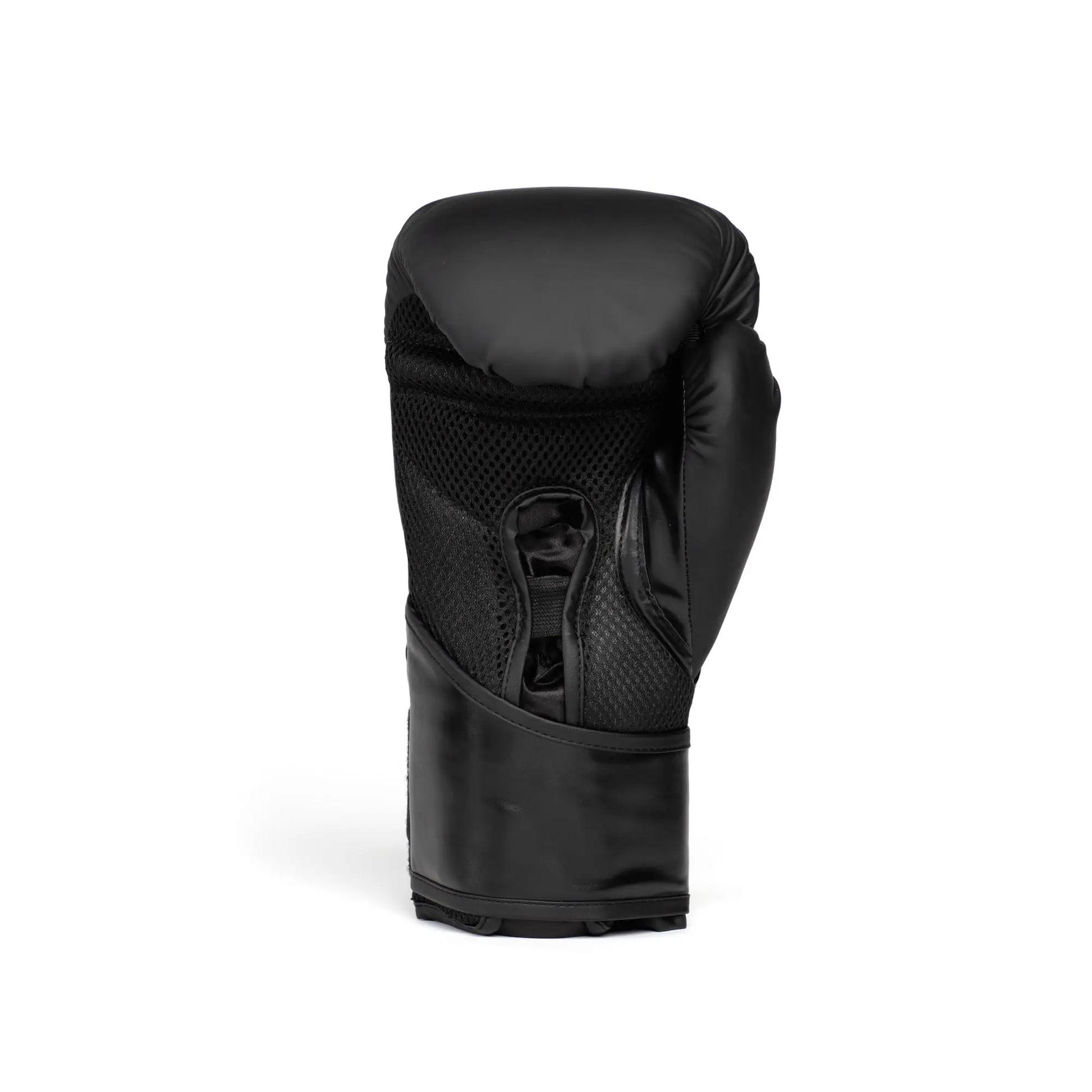 Everlast Elite 2 | Boxing Gloves - The Champ Gear