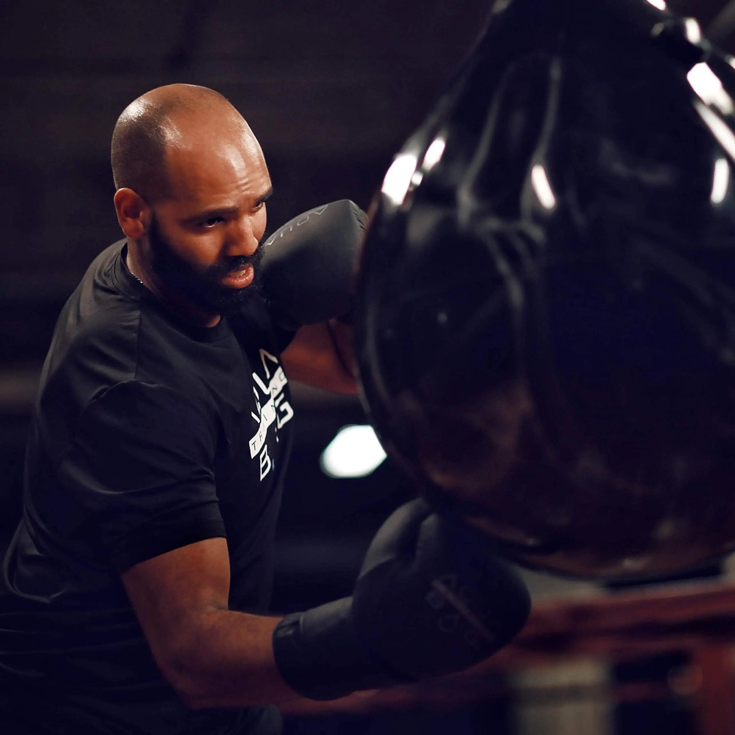 Aqua Training Bag Torrent Boxing Glove The Champ Gear