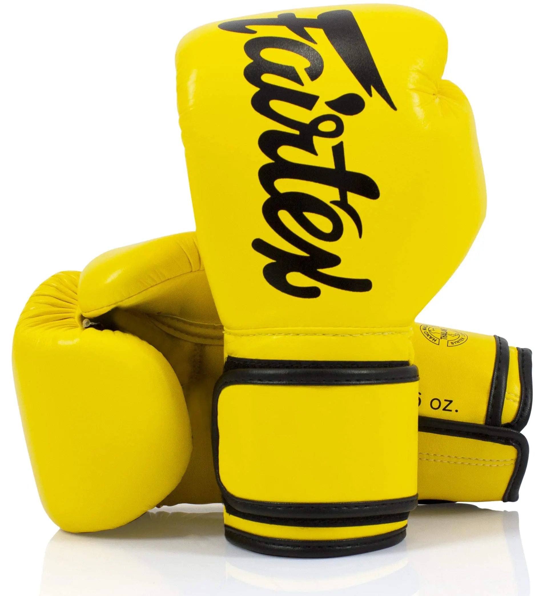 Fairtex Boxing Gloves for Men, Women, Kids - The Champ Gear