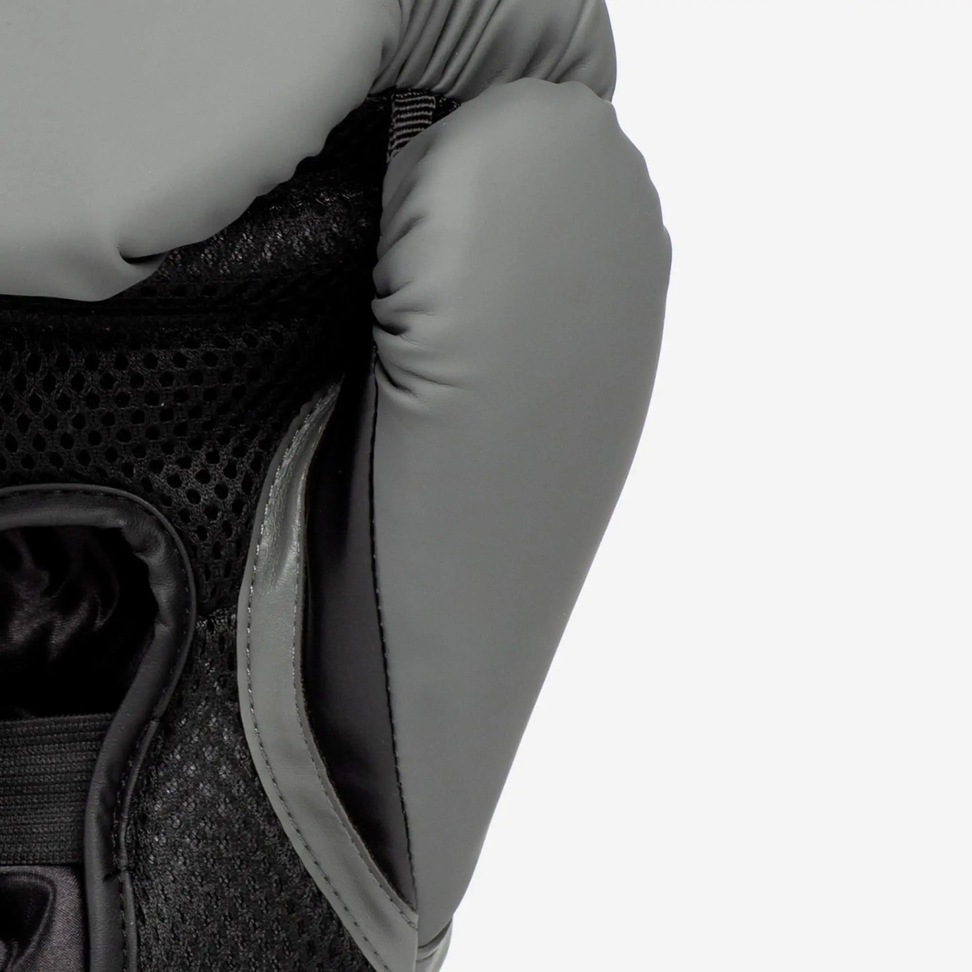 Everlast Elite 2 | Boxing Gloves - The Champ Gear