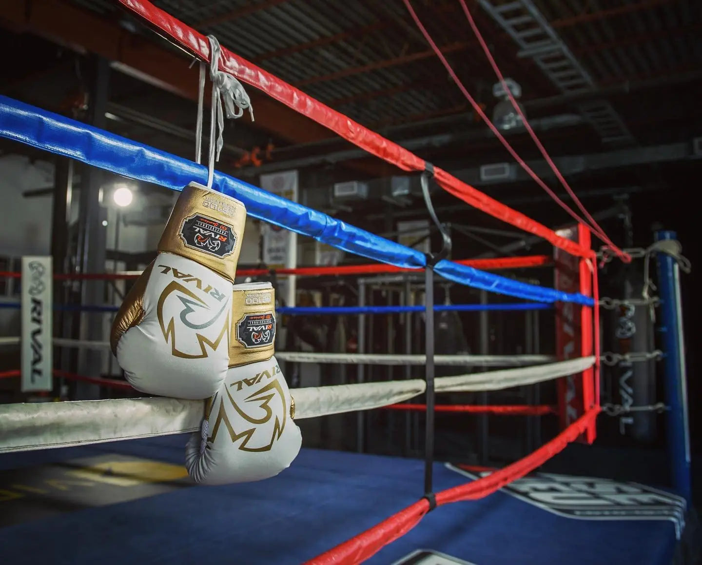 RIVAL Boxing RS100 Professional Lace-Up Sparring Gloves, Handcrafted with Super-Rich Microfiber PU, Ergonomically Designed to Perfectly Fit Your Hand The Champ Gear