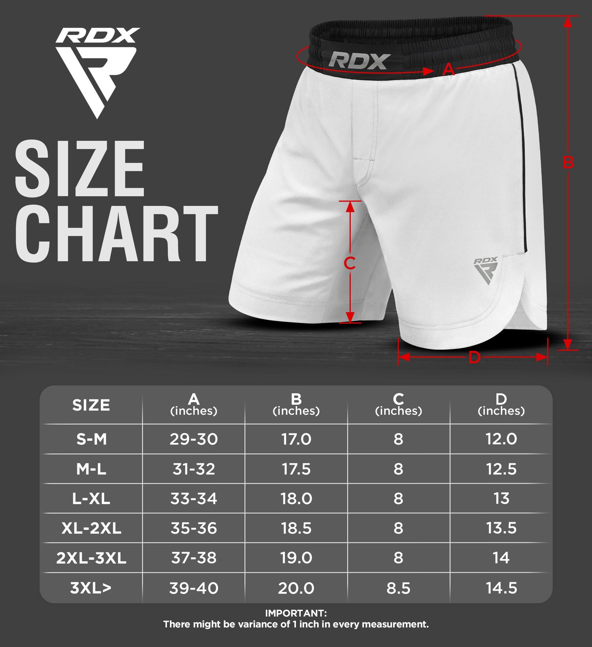 RDX MMA Shorts for Training and Kick Boxing, Trunks for Bodybuilding, Cage Fighting, Muay Thai,BJJ Grappling, Combat Sports The Champ Gear