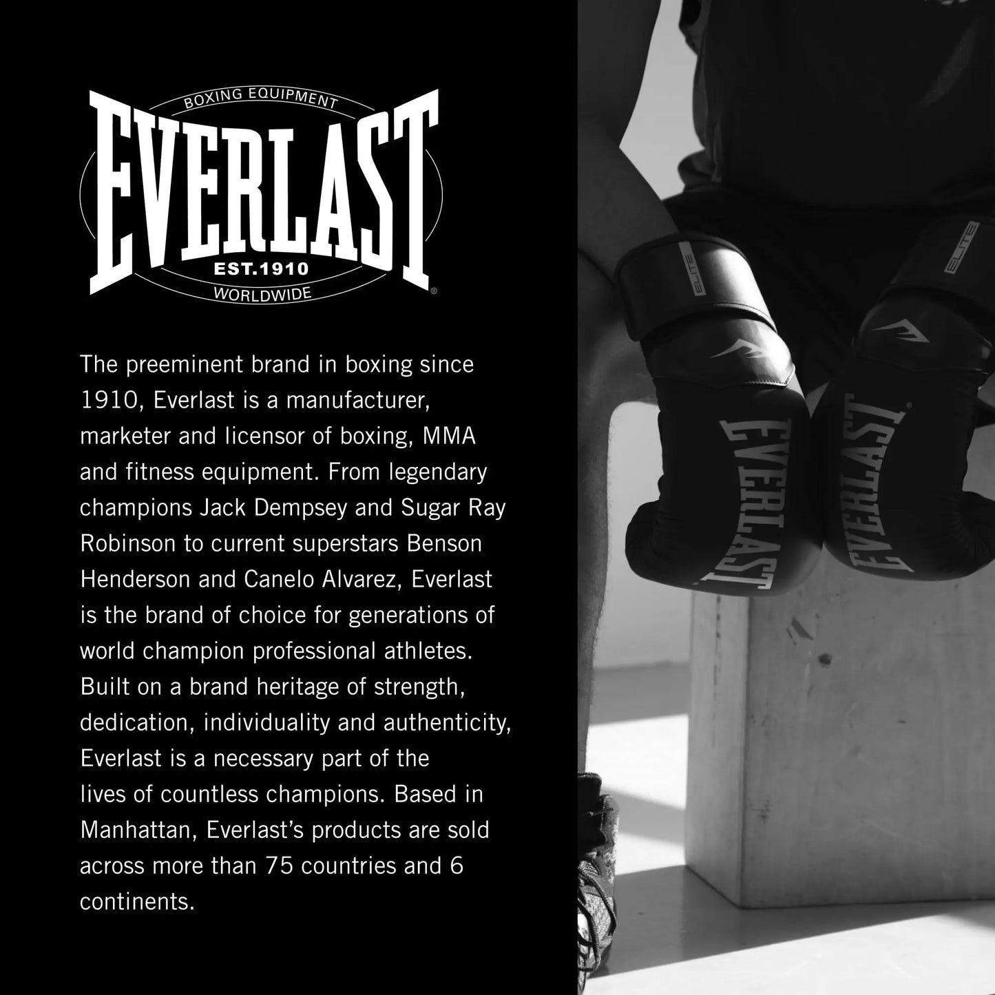 Everlast Elite | Boxing Gloves | Training Gloves for Men and Women - The Champ Gear