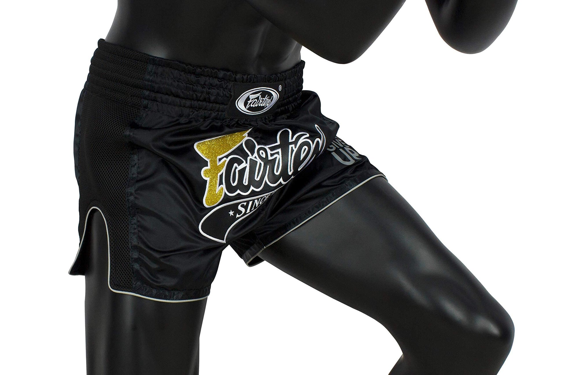 Fairtex Slim Cut Muay Thai Boxing Shorts The Champ Gear