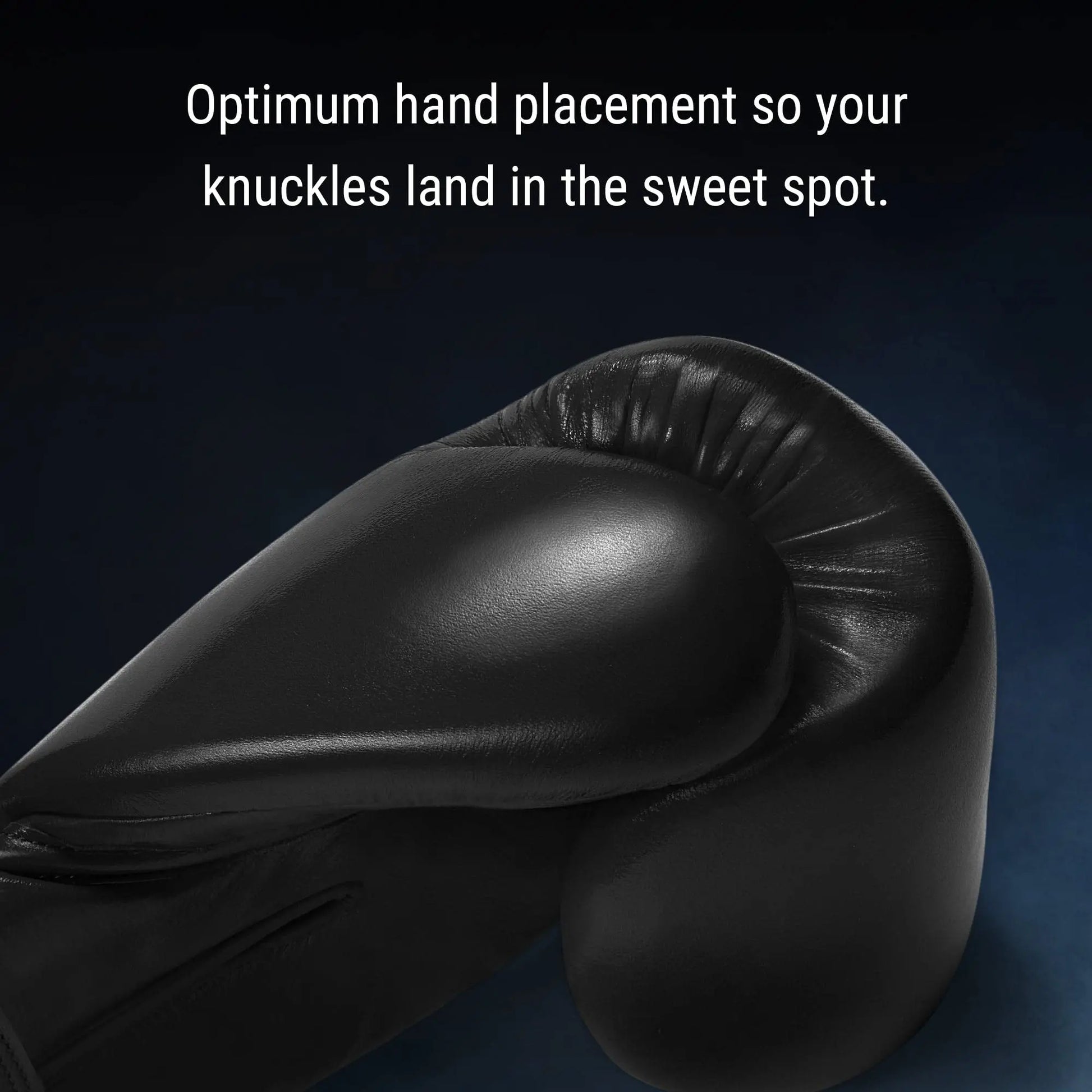 Hayabusa Pro Leather Hook and Loop Boxing Gloves for Men and Women - The Champ Gear