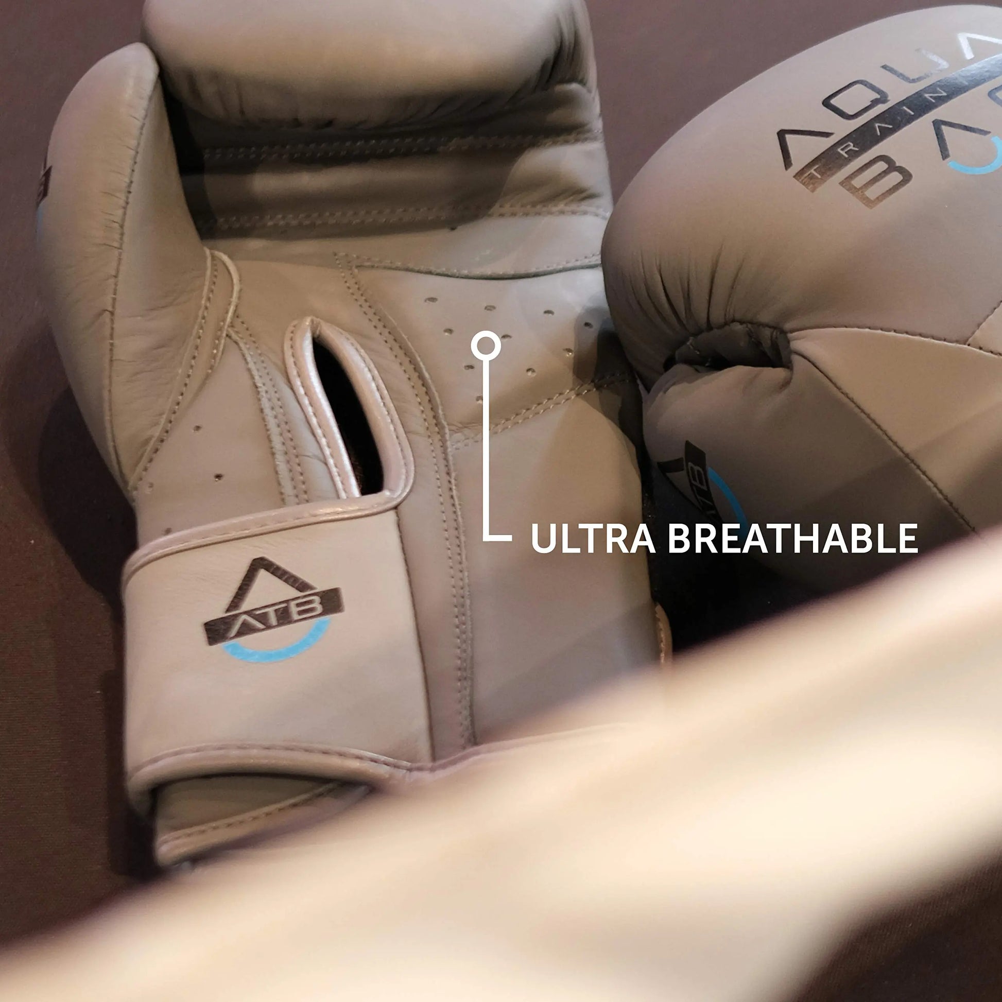 Aqua Training Bag Torrent Boxing Glove The Champ Gear