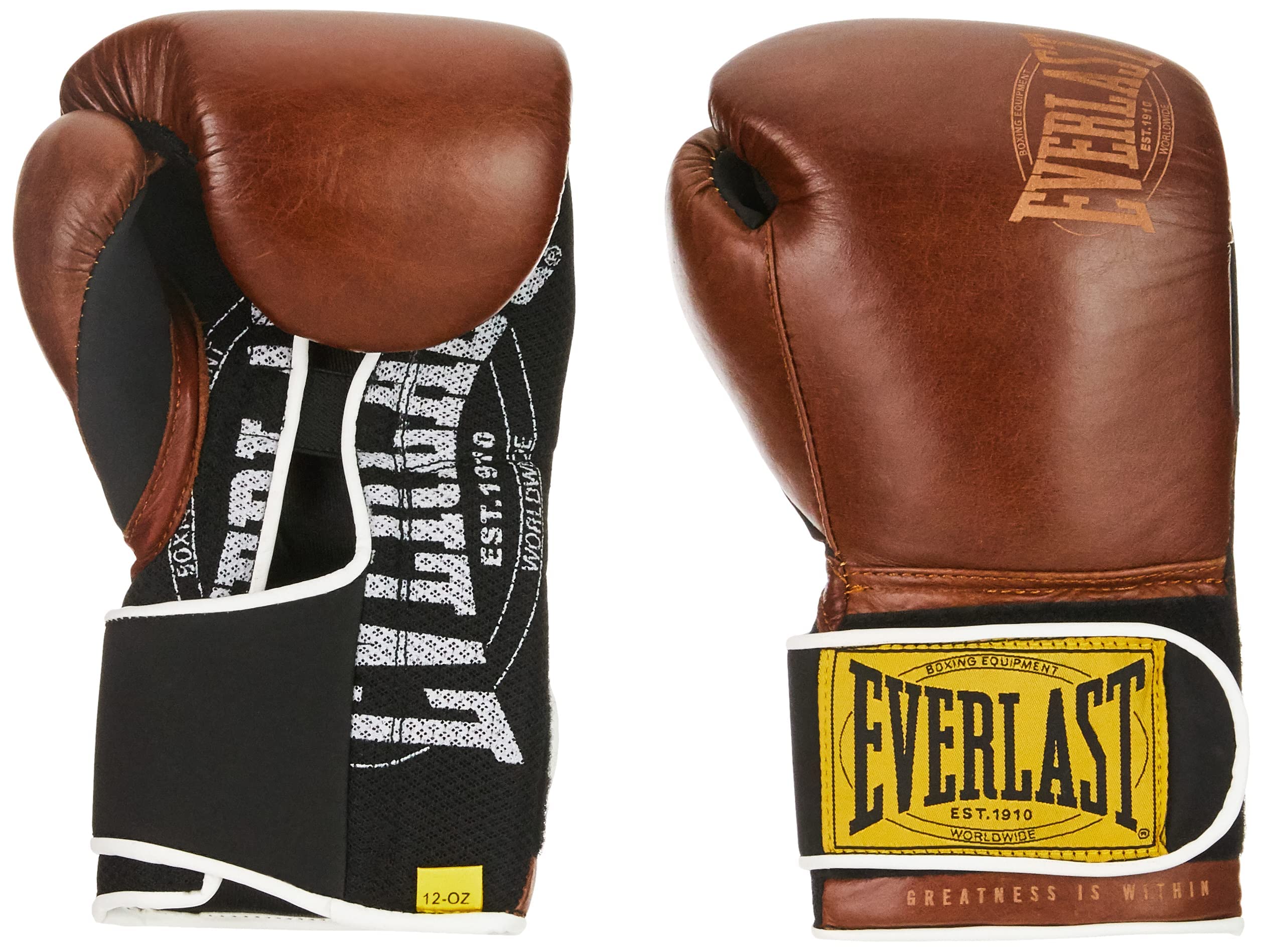 Everlast 1910 Classic Training Glove - The Champ Gear