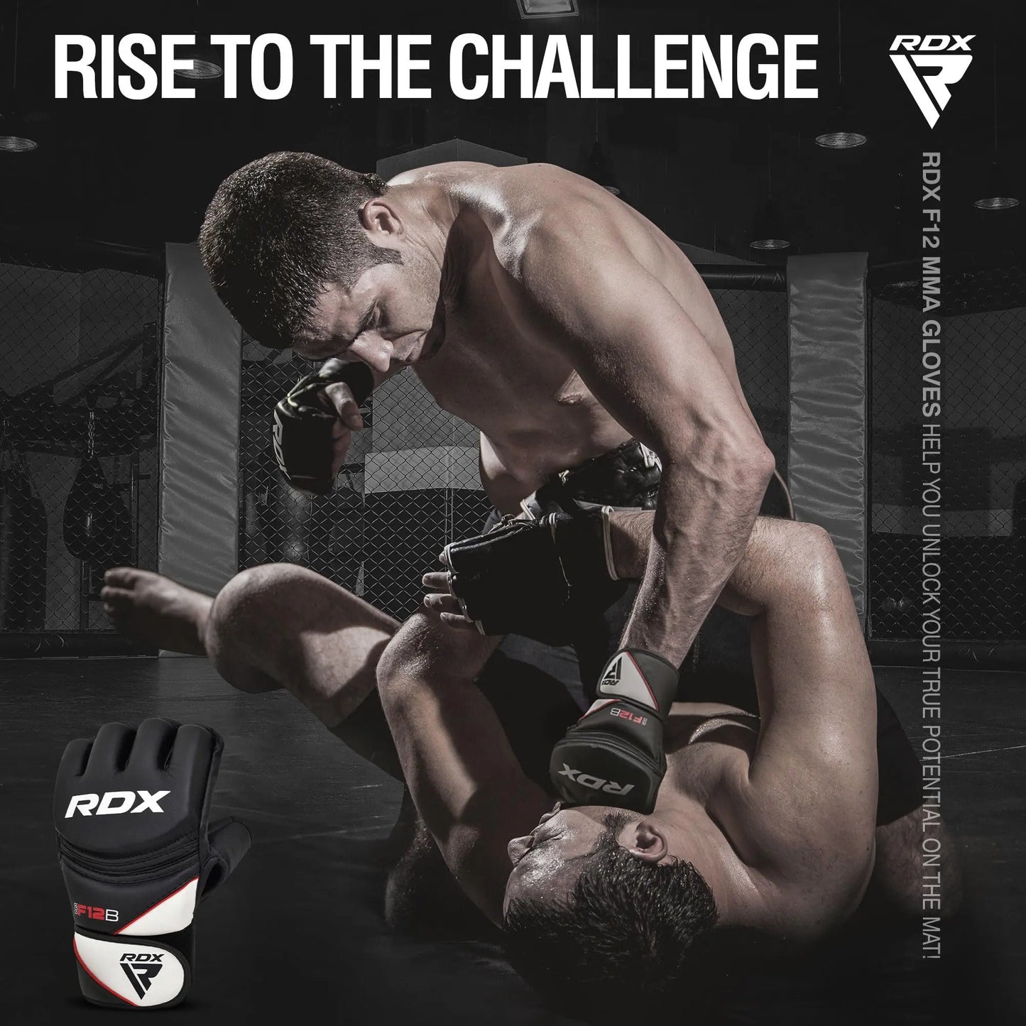 RDX | MMA Gloves Grappling Sparring - The Champ Gear