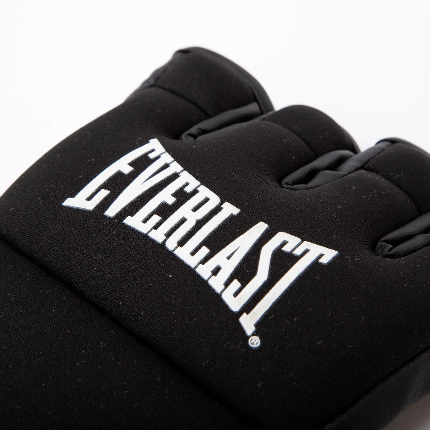 Everlast Core Kickboxing Gloves - The Champ Gear