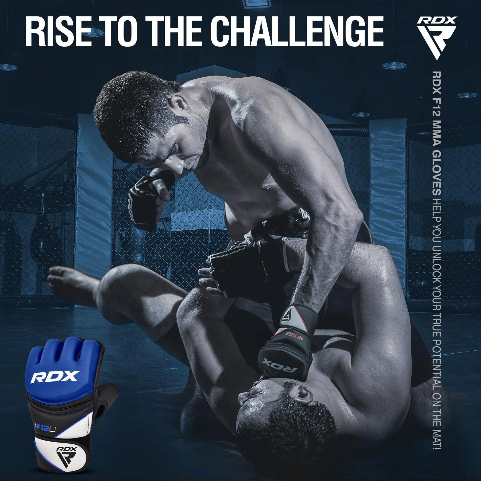 RDX | MMA Gloves Grappling Sparring - The Champ Gear