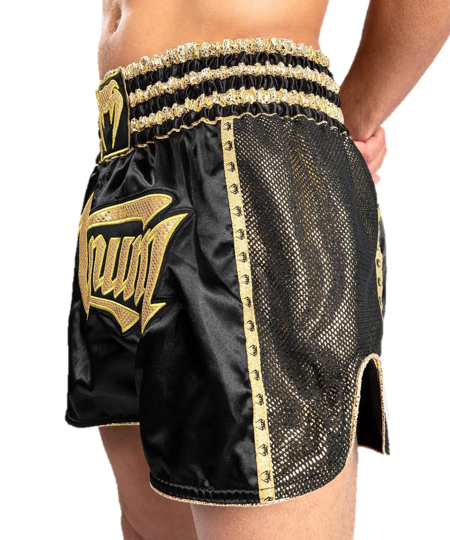 Venum Absolute 2.0 Muay Thai Shorts The Champ Gear