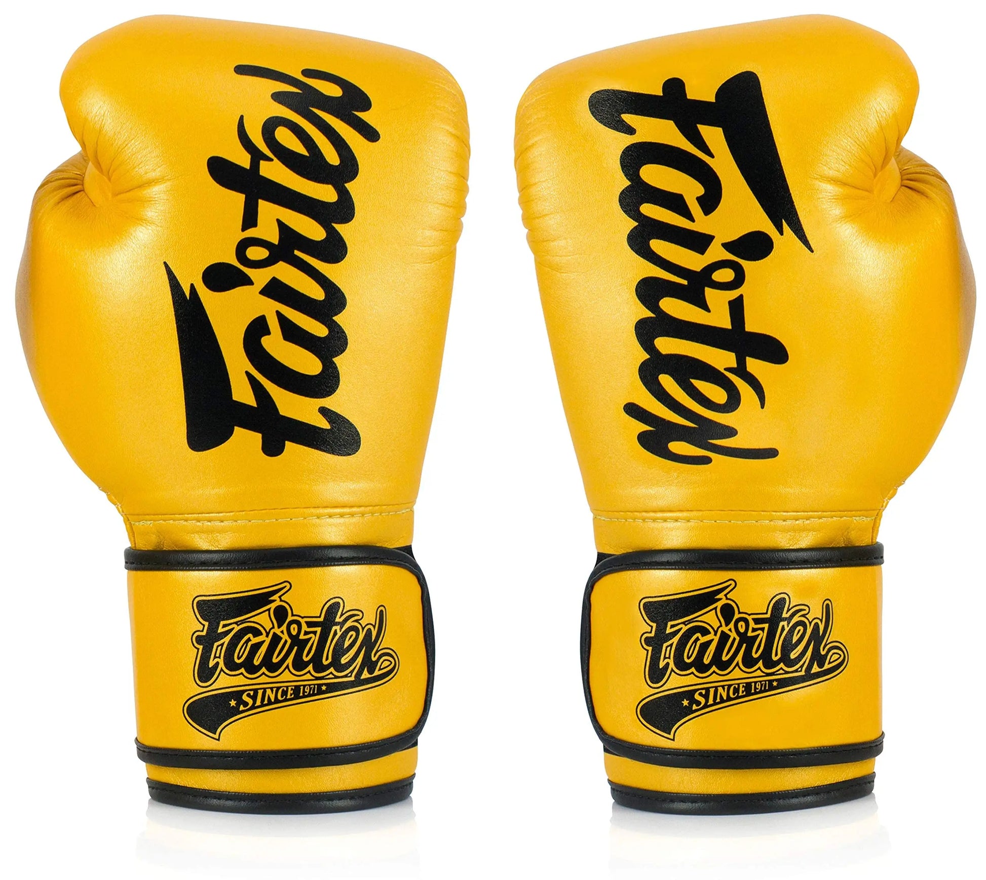 Fairtex Boxing Gloves for Men, Women, Kids - The Champ Gear