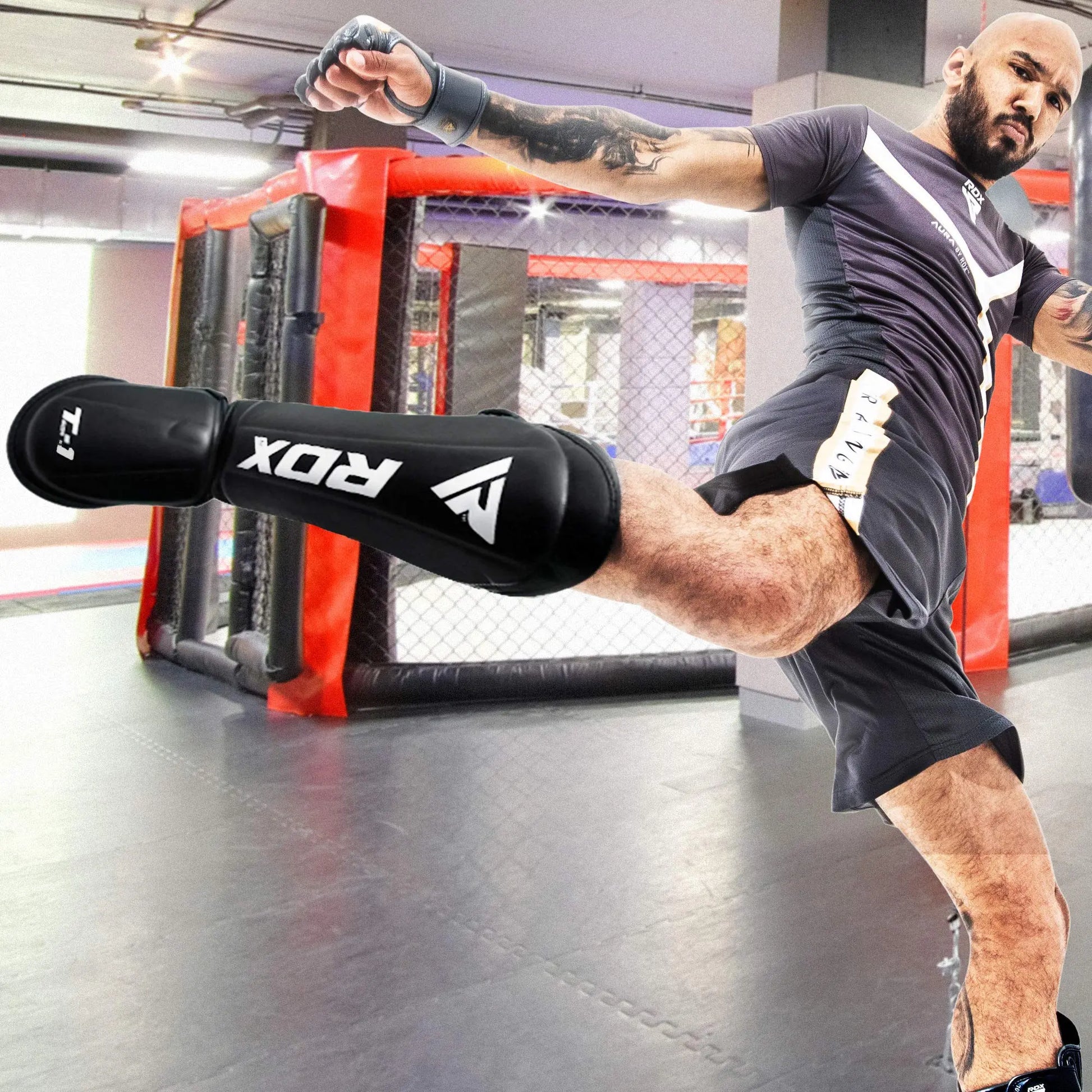 RDX | Shin Guards - The Champ Gear