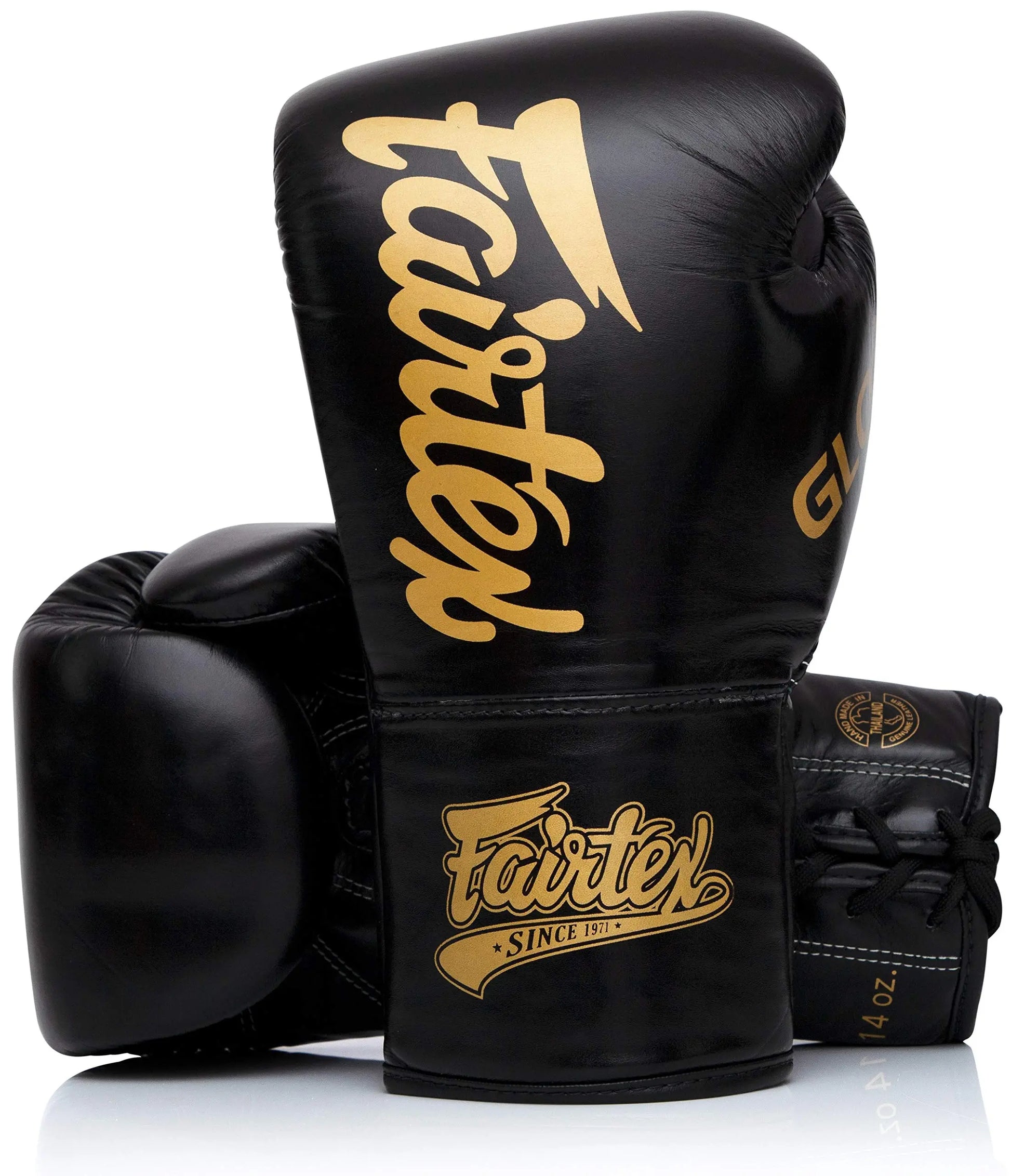 Fairtex Glory Training Gloves - Premium Leather MMA & Boxing Gloves |Handmade in Thailand - Shock-Absorbing Foam Padding | Ideal for Kickboxing, Sparring & Competition The Champ Gear